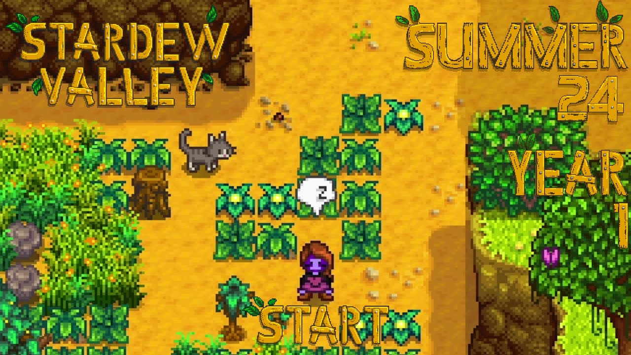 Energy Management Part II – Stardew Valley, Summer 24, Year 1, Start