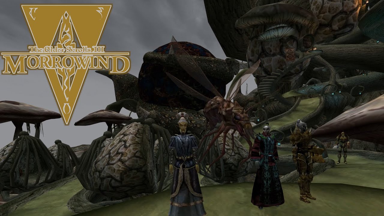 What Do You Want Me To Tell Vanni? – Morrowind OpenMW VR Permadeath (Tamriel Rebuilt) Gameplay