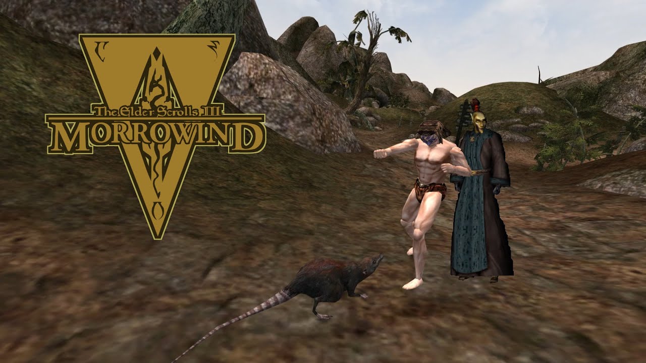 Some of These Books are LONG – Morrowind OpenMW VR Permadeath