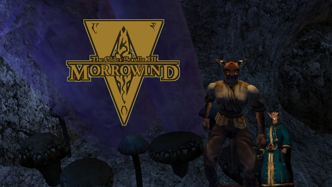 Liv Elf The Avenger – Morrowind OpenMW VR Permadeath